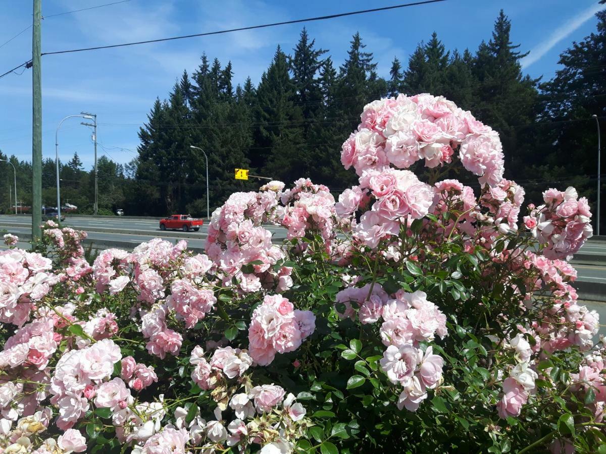 Fuller Lake Chemainus Motel Екстер'єр фото